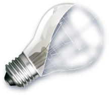 Bulb